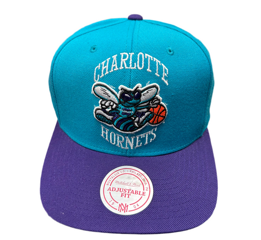 Charlotte Hornets Mitchell & Ness Hat