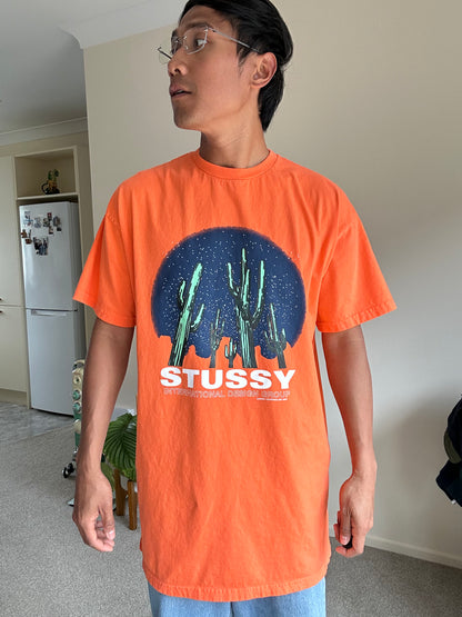 Stussy Cactus Tee Dress, which is a streetwear garment featuring a prominent cactus graphic design Orange 8