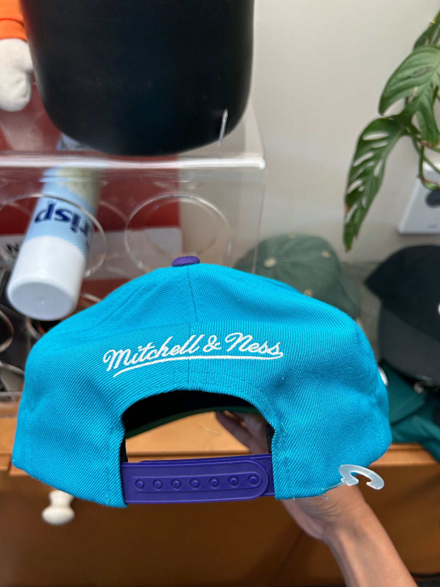 Charlotte Hornets Mitchell & Ness Hat