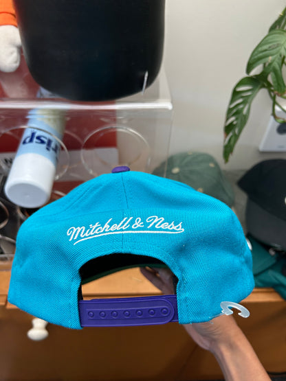 Charlotte Hornets Mitchell & Ness Hat