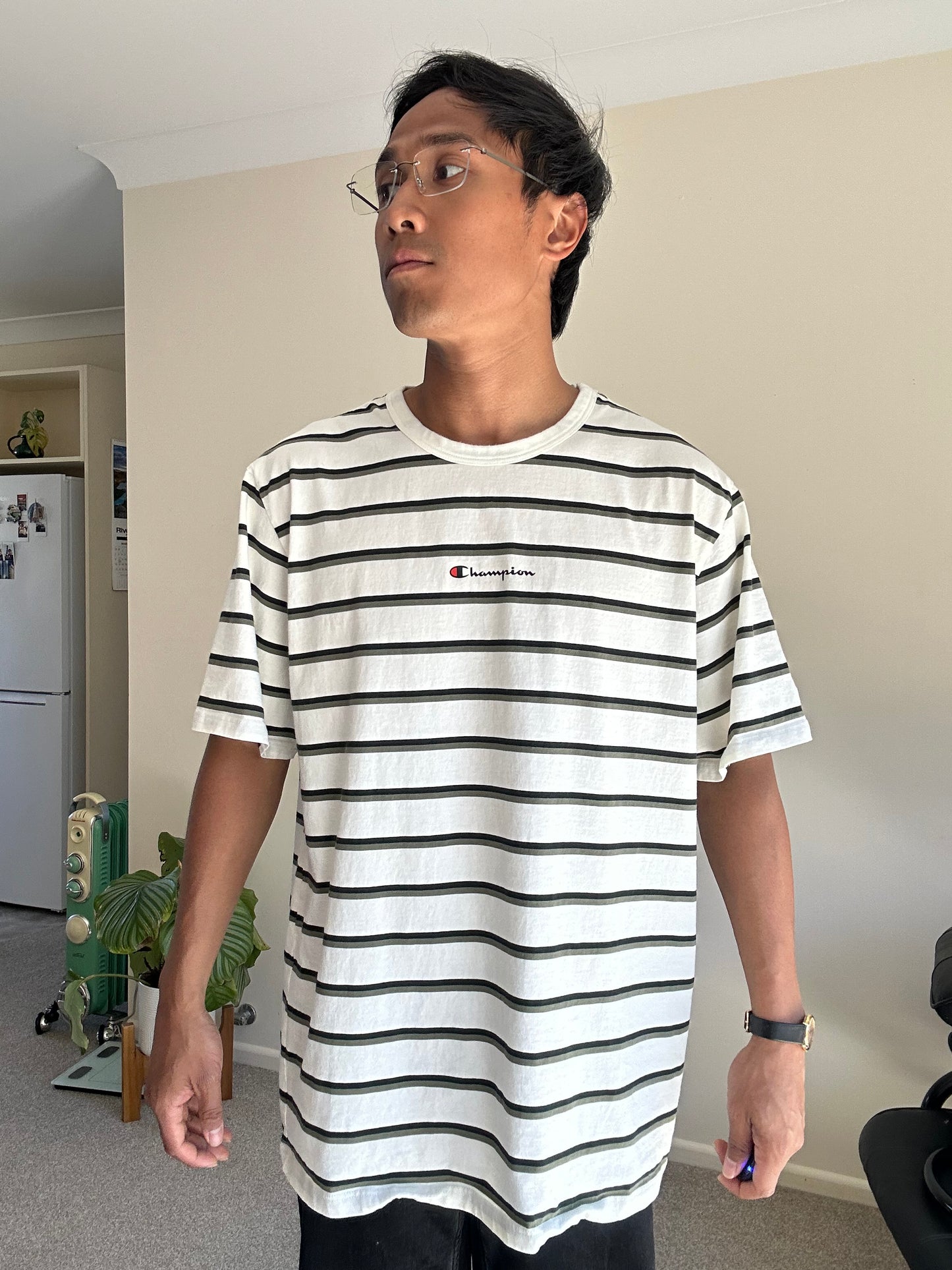 CHAMPION STRIPE SHORT SLEEVE TEE, WHITE XL
