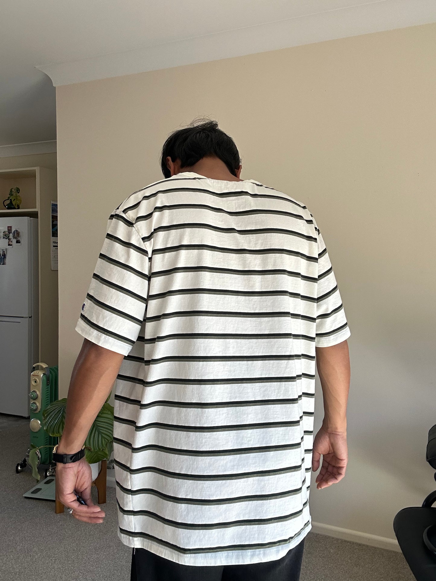 CHAMPION STRIPE SHORT SLEEVE TEE, WHITE XL