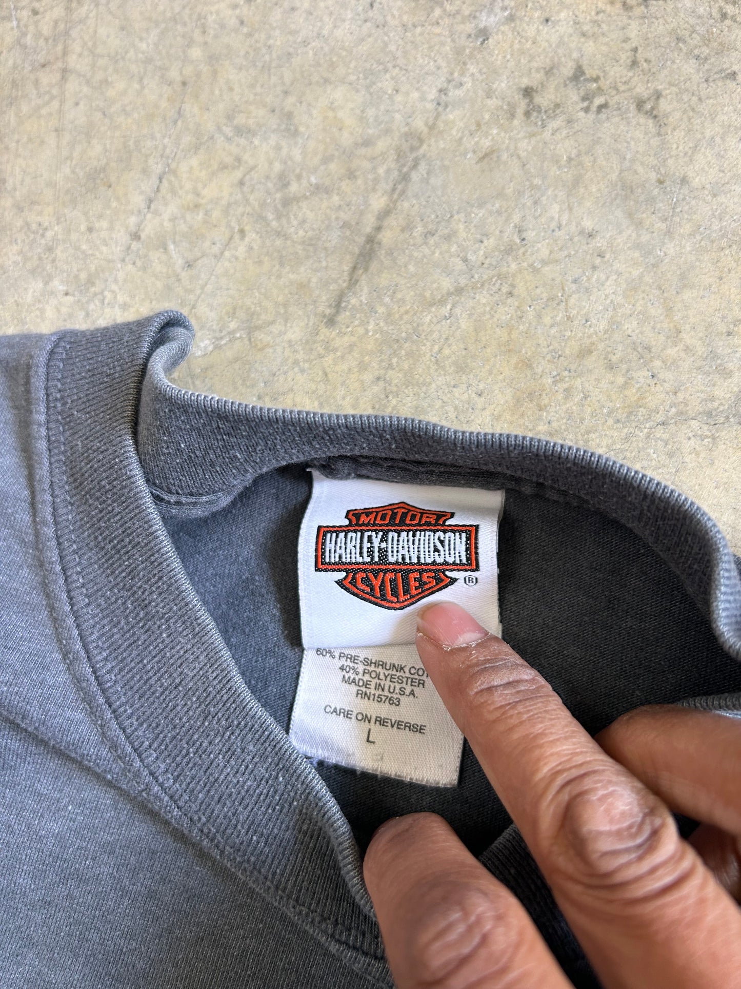vintage Harley-Davidson "Rally Bound" graphic t-shirt Large Grey